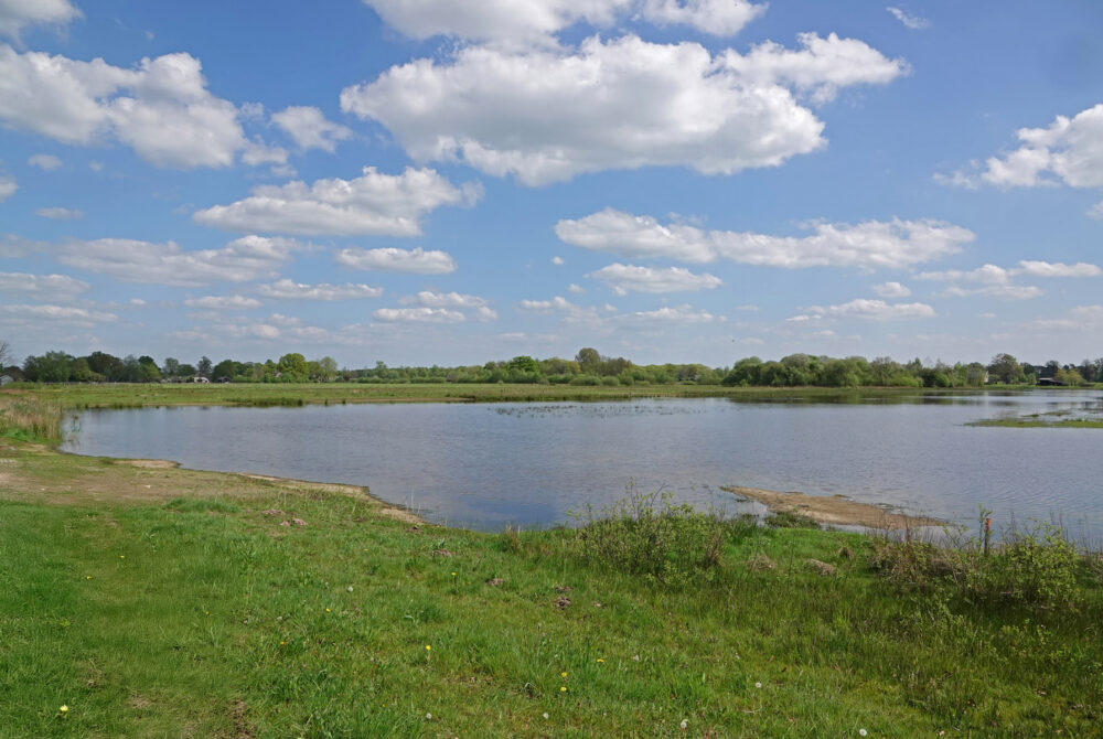 Empese en Tondense Heide
