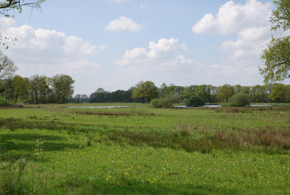 Empese en Tondense Heide