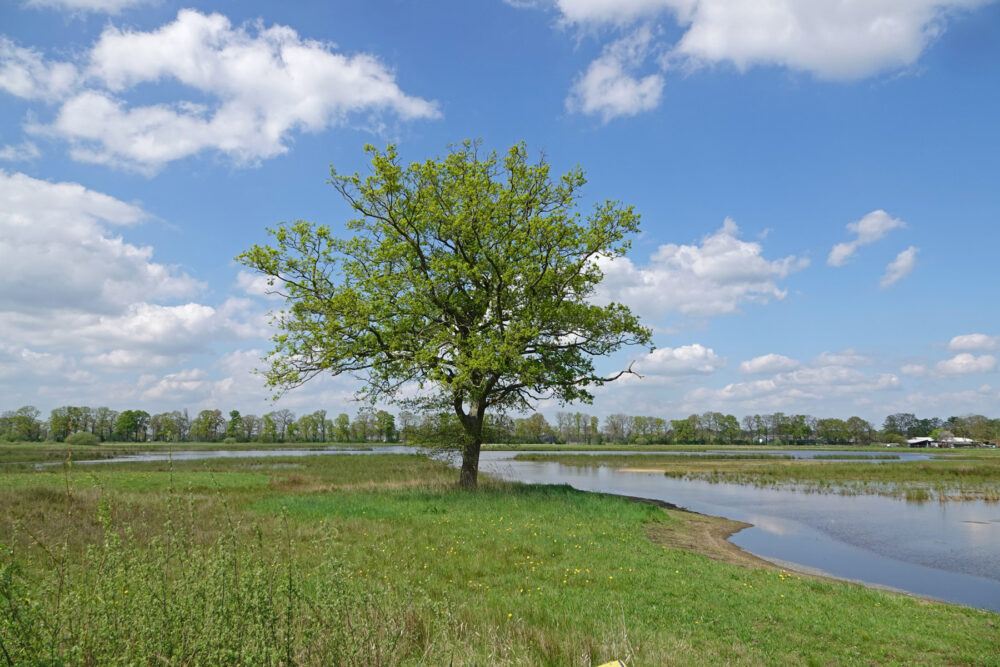 Empese en Tondense Heide