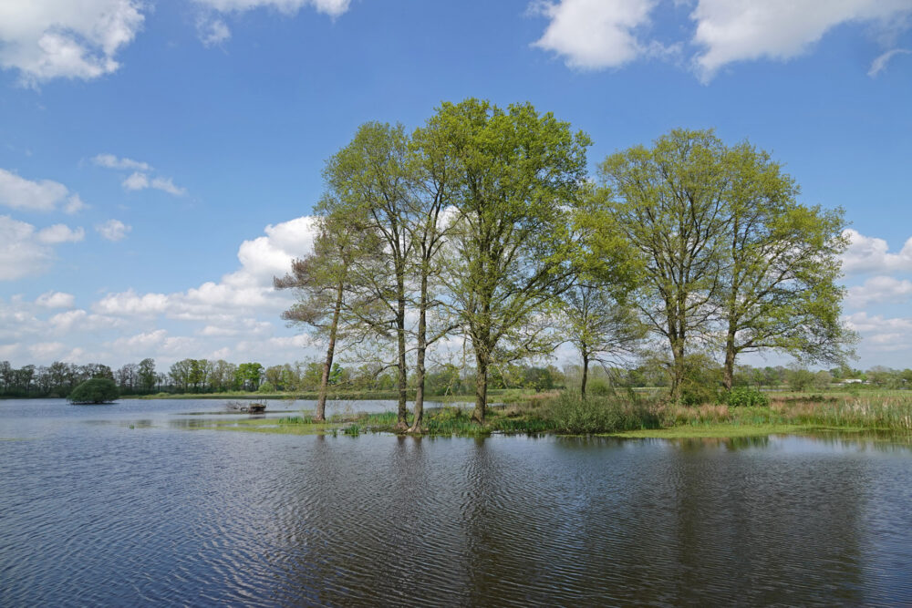 Empese en Tondense Heide