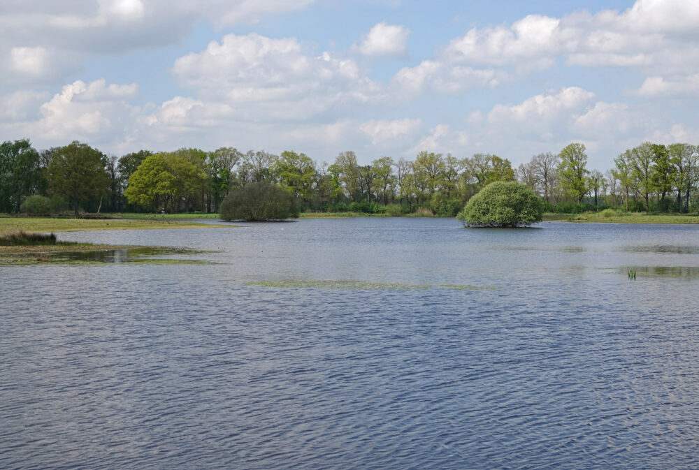 Empese en Tondense Heide