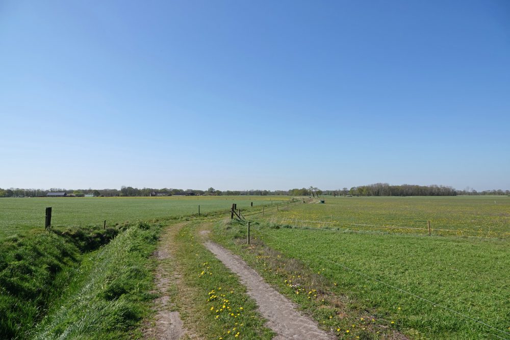 Es van Leutingewolde (Onlanden)