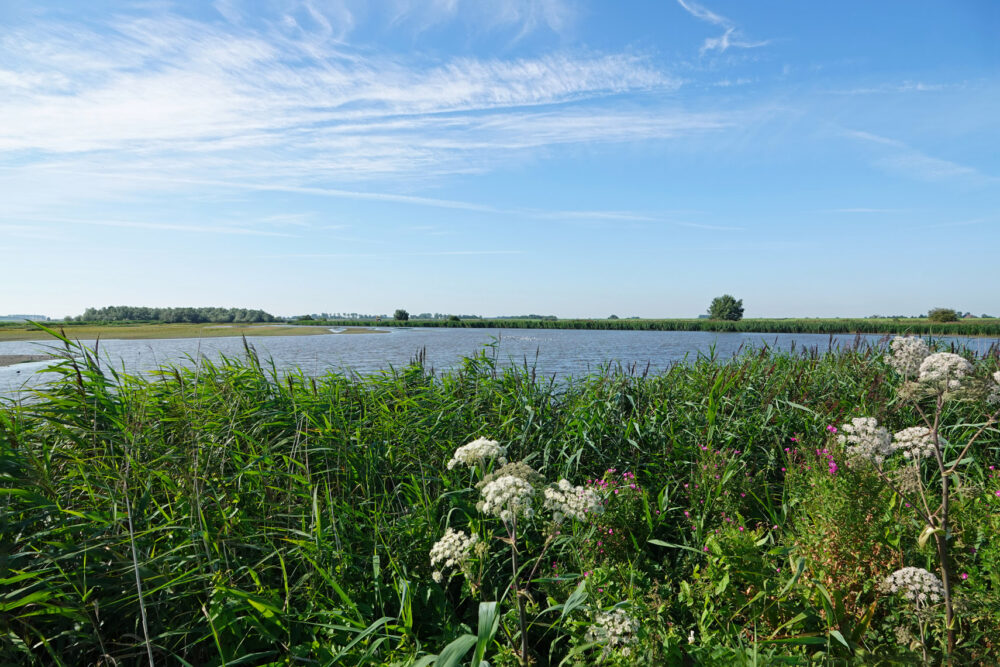 Ezumakeeg in de zomer