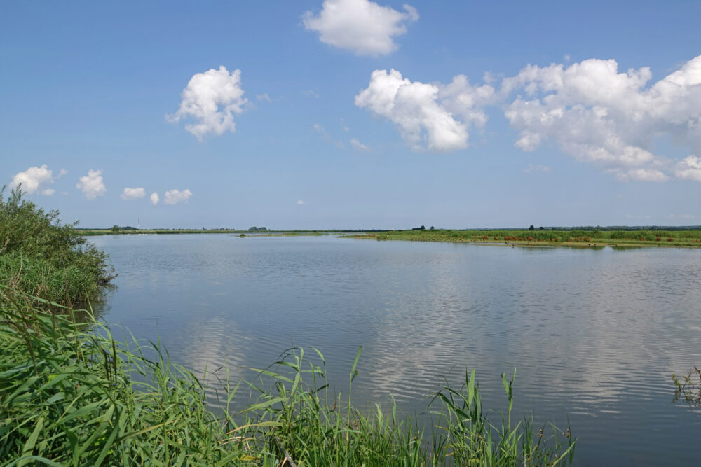Ezumakeeg in de zomer