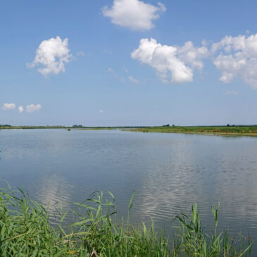 Ezumakeeg in de zomer