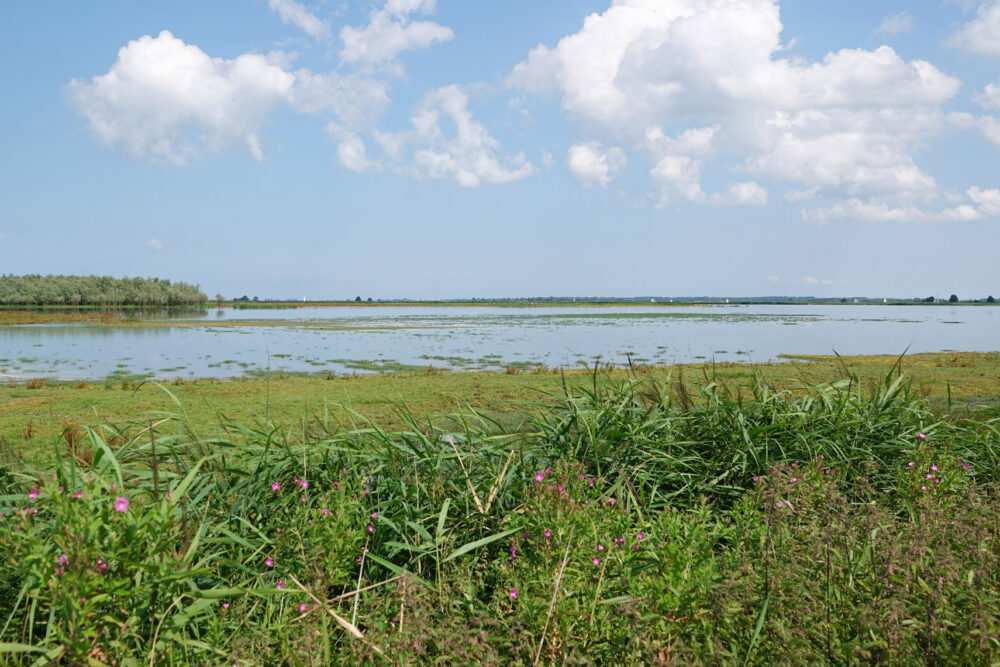 Ezumakeeg in de zomer