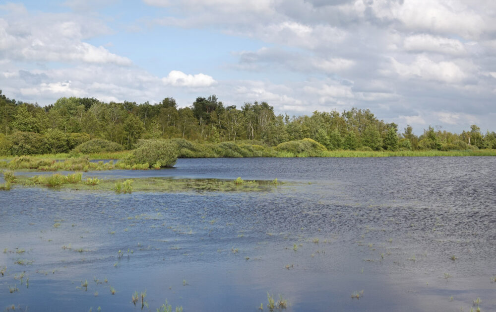 Fochteloërveen