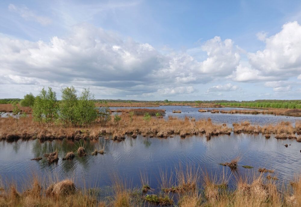Fochteloërveen