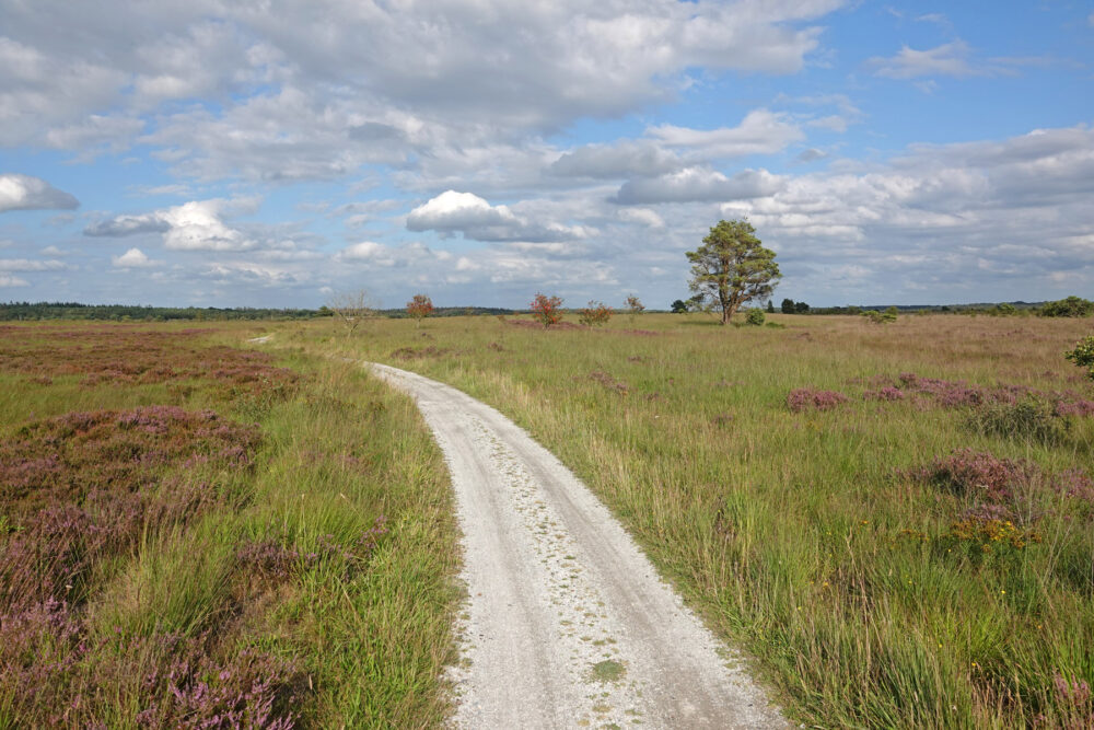 Fochteloërveen