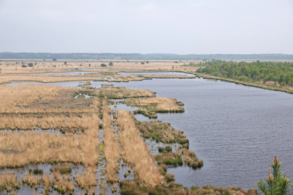 Fochteloërveen