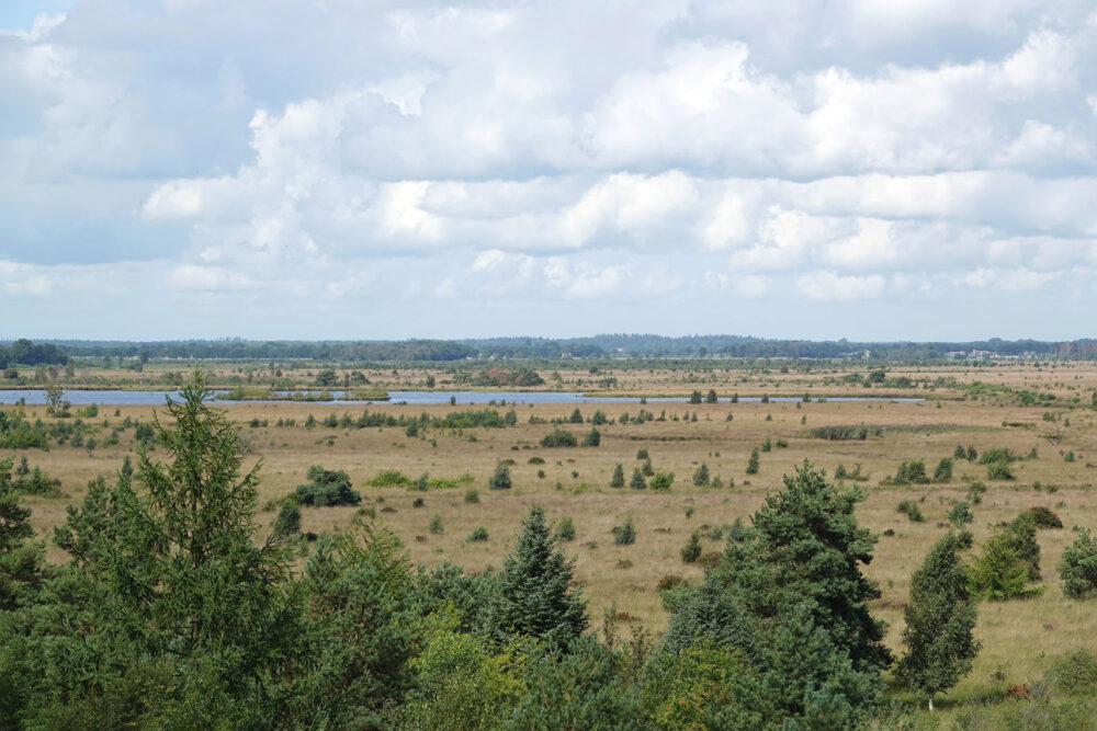 Fochteloërveen