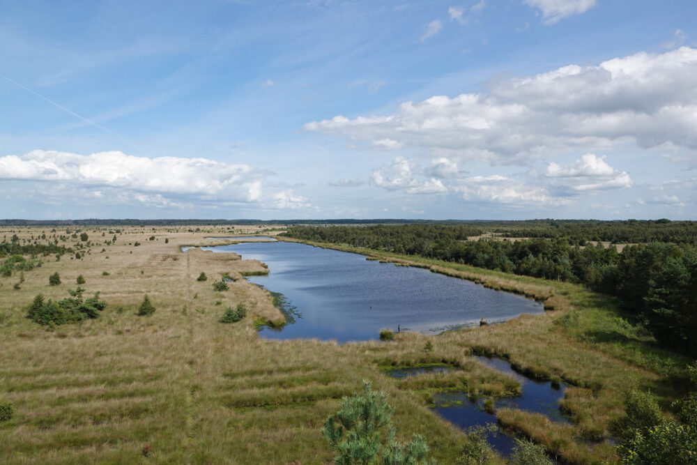 Fochteloërveen