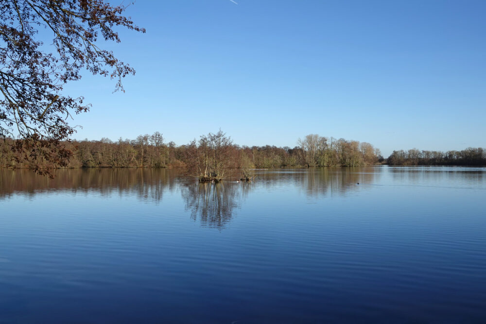 Friesche Veen