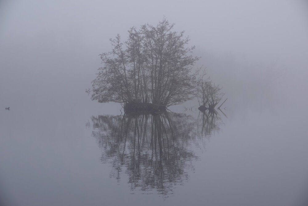 Friesche Veen in de mist