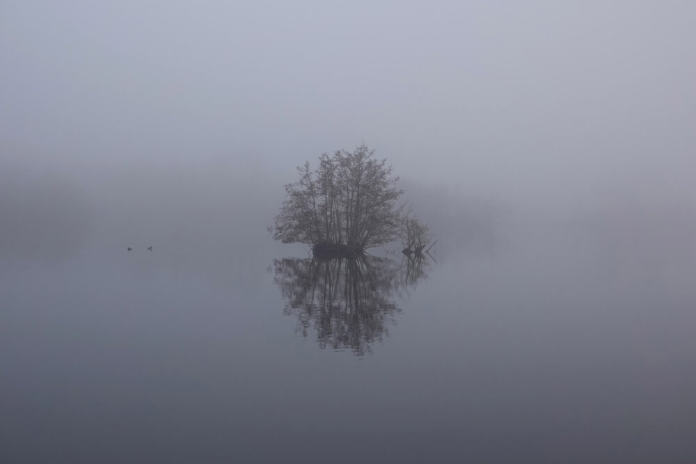 Friesche Veen in de mist