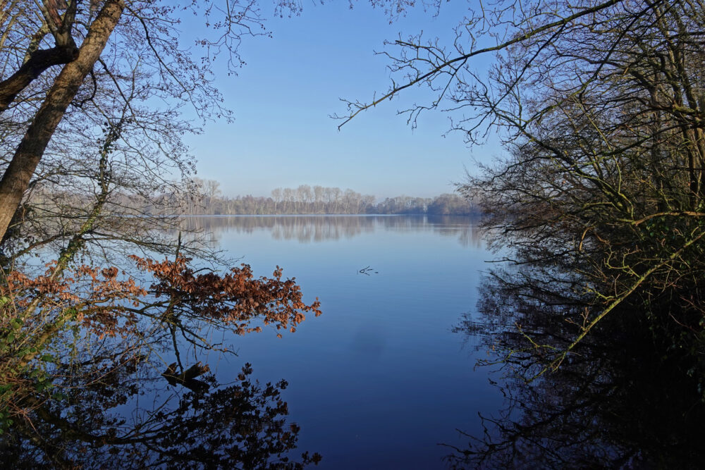 Friesche Veen in de winter