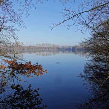 Friesche Veen in de winter