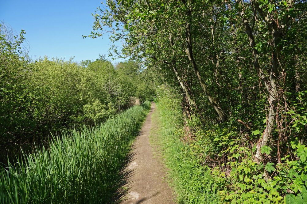 Friesche Veen