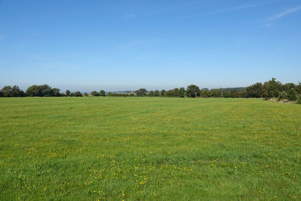 Gaasterland