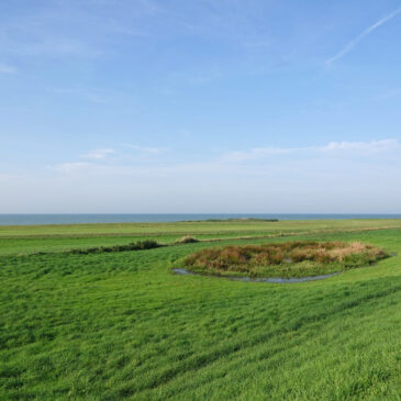 Gaasterland langs het IJsselmeer