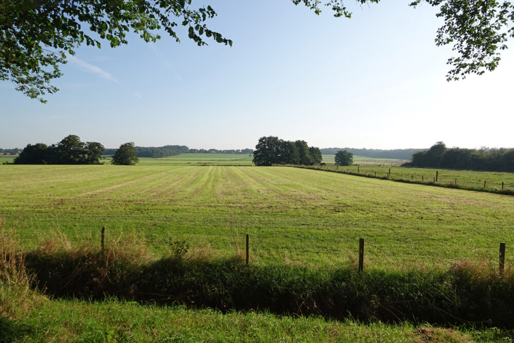 Gaasterland