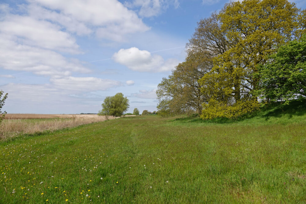Gaasterland