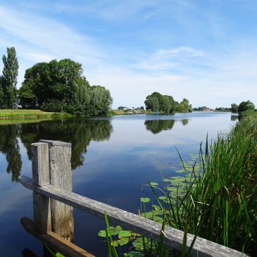 Ganzendiep (Mandjeswaard)