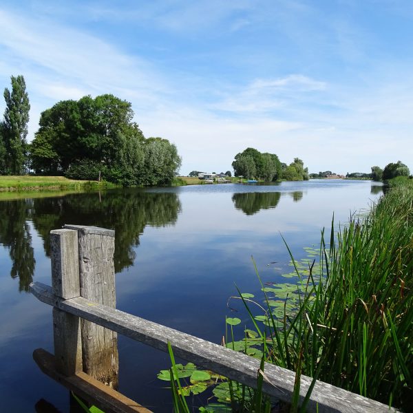 Ganzendiep (Mandjeswaard)