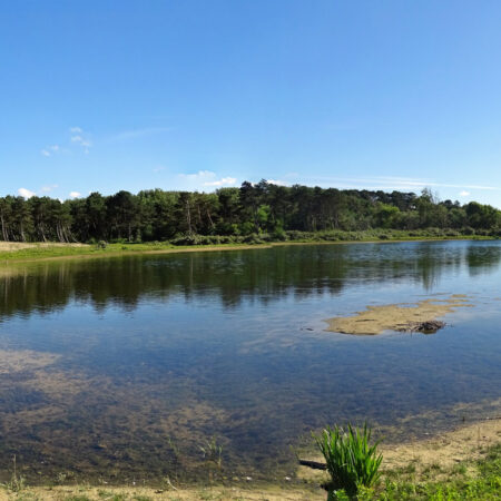 Ganzenhoek (Meijendel)