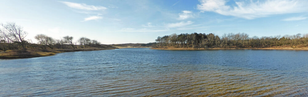 Ganzenhoek (Meijendel)