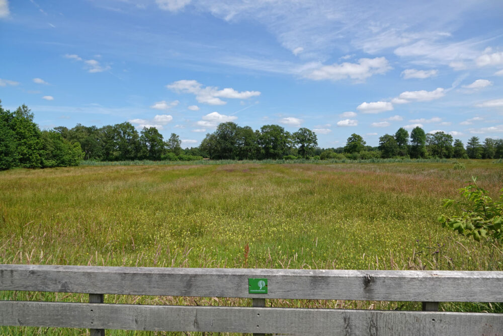 Gasterse Duinen_