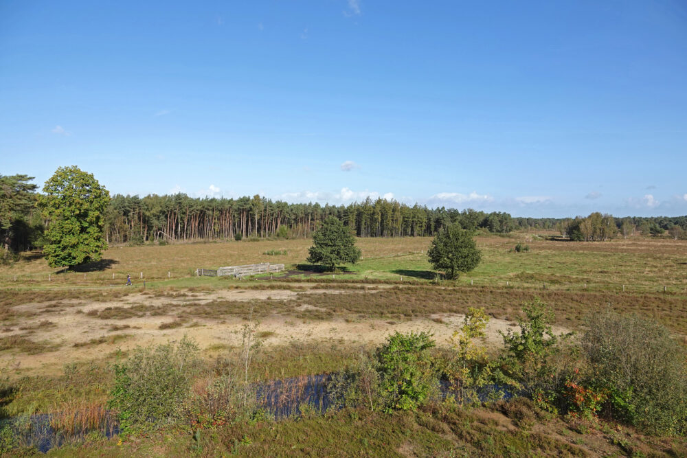 Gorsselse heide