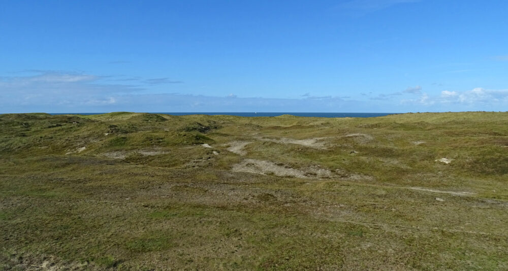 Grafelijkheidsduinen