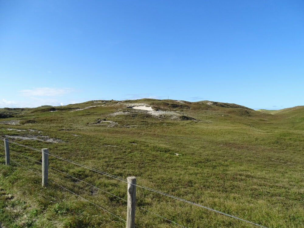 Grafelijkheidsduinen