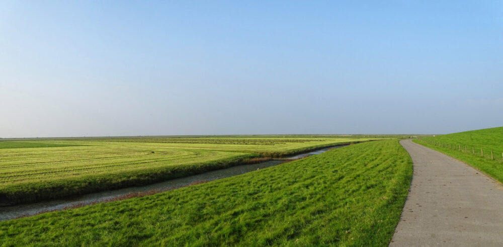 Graslanden Blije en Ferwert Bûtendyks