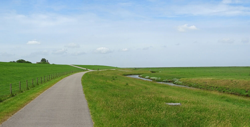Graslanden Blije en Ferwert Bûtendyks