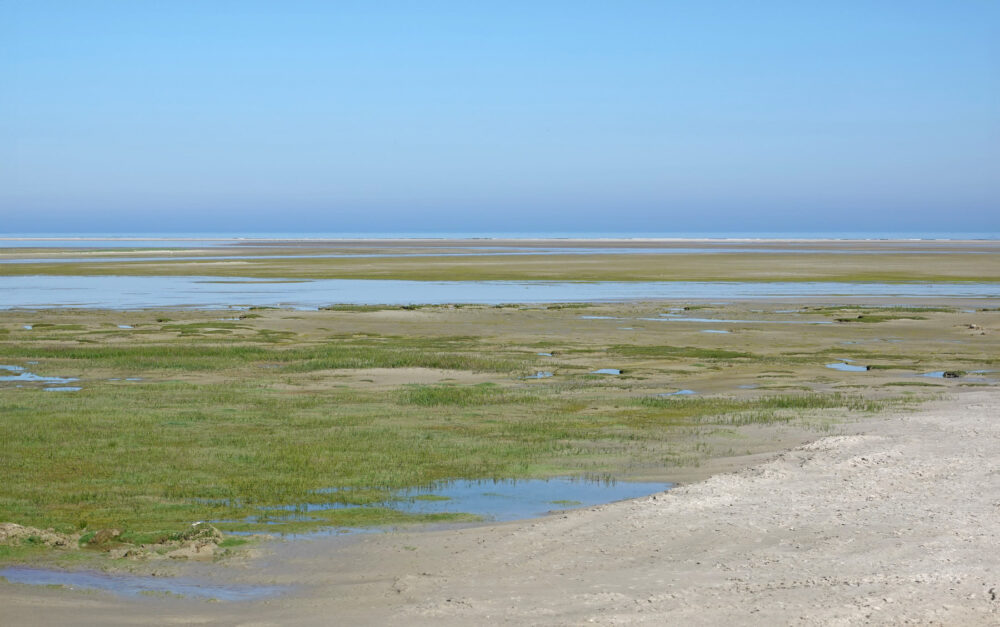 Groene Strand (Ameland)