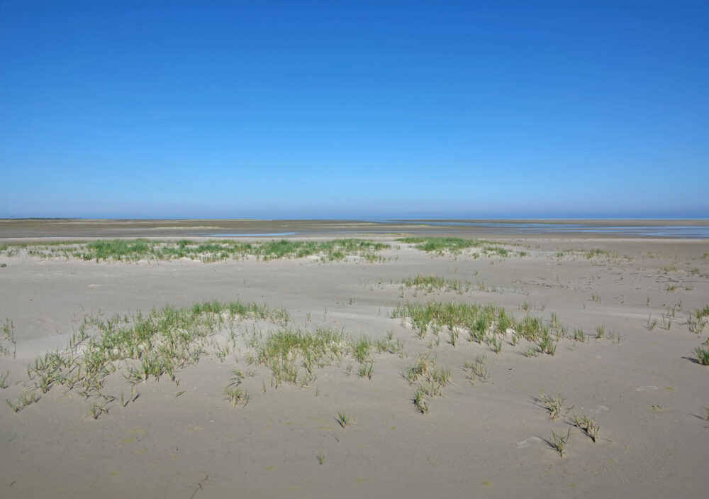 Groene Strand (Ameland)