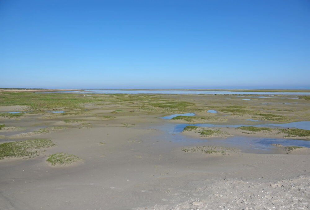 Groene Strand (Ameland)