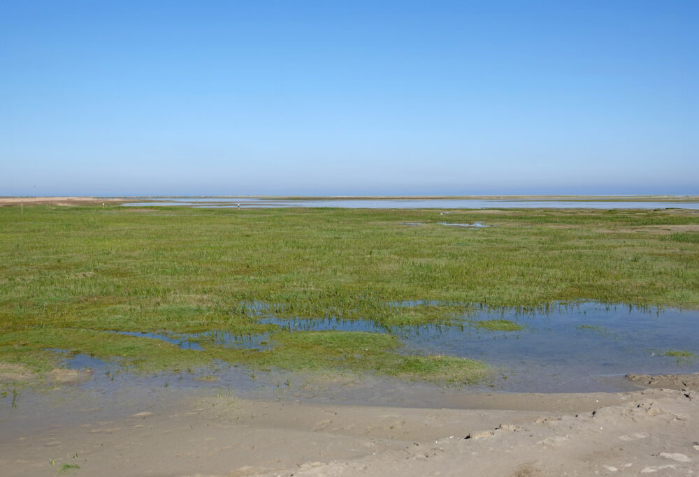 Groene Strand (Ameland)