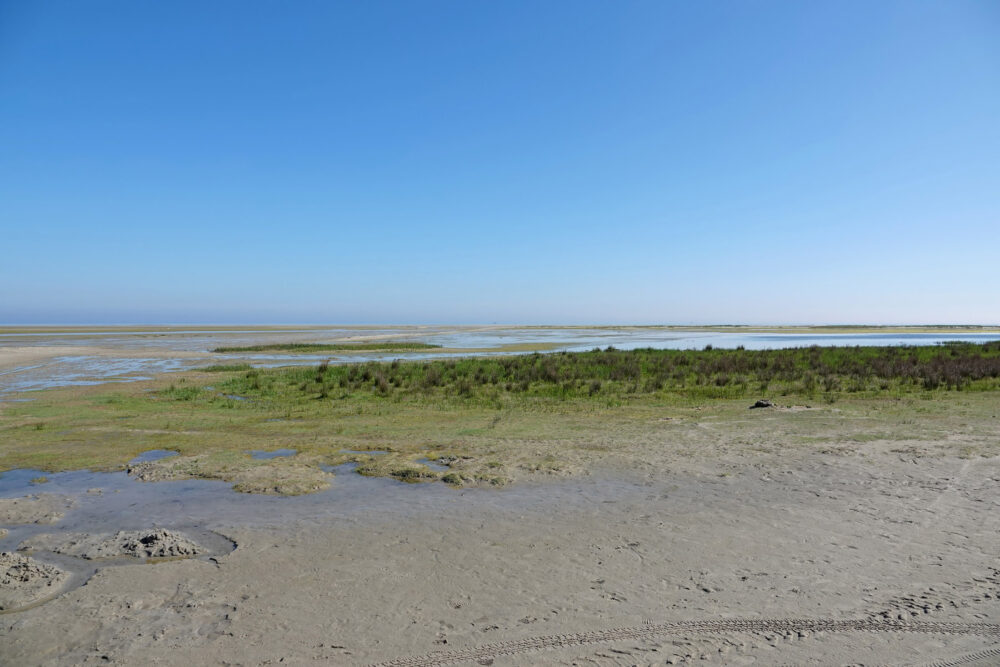 Groene Strand (Ameland)