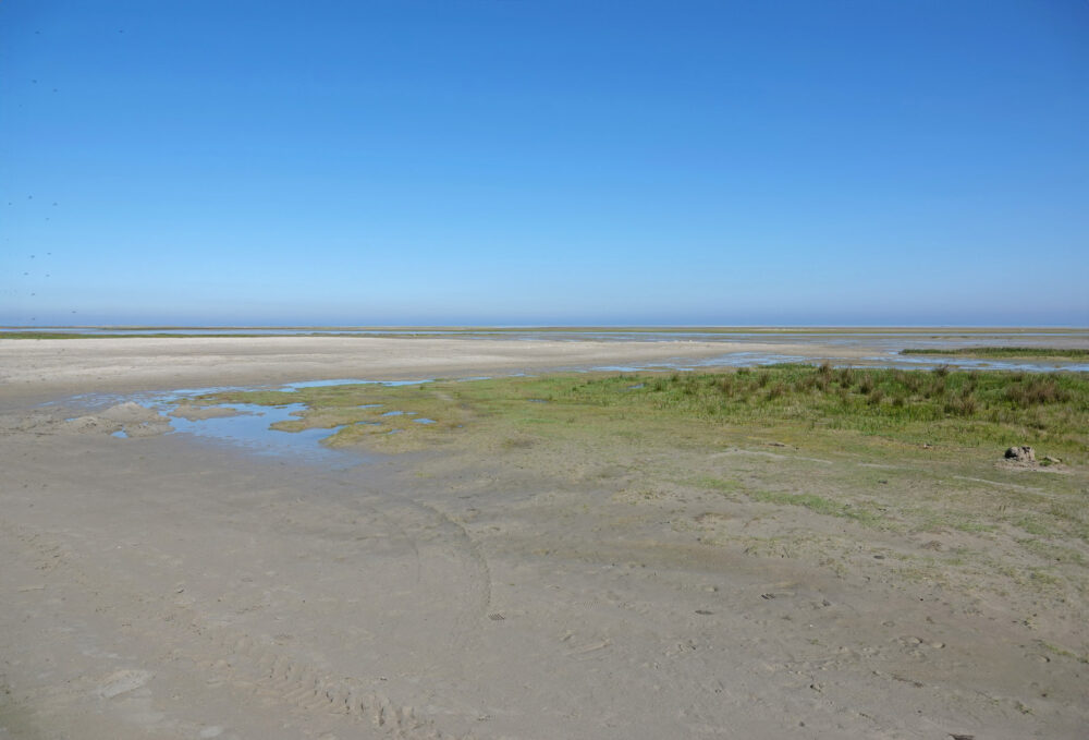Groene Strand (Ameland)