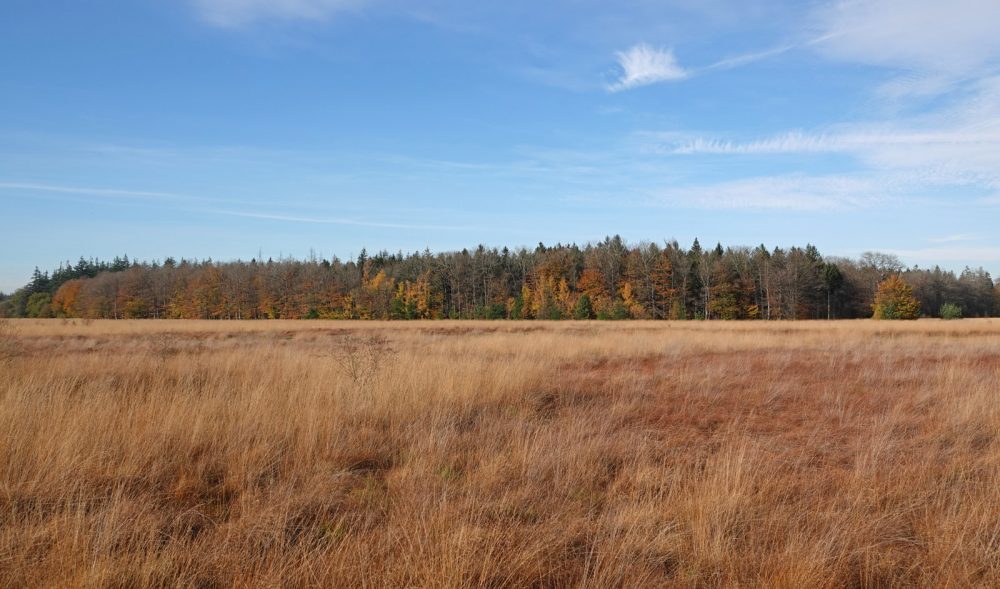 Grolloërveen