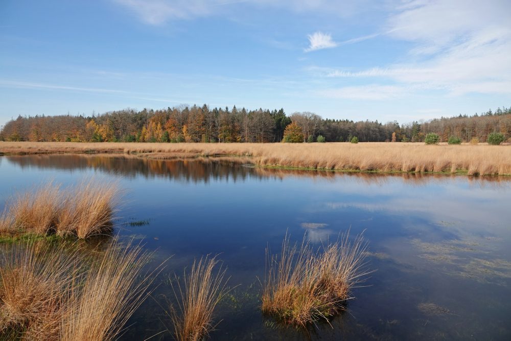 Grolloërveen