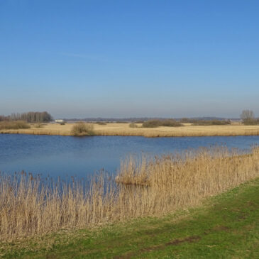 Groote Wielen (winter)