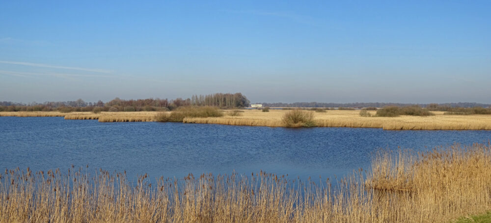 Groote Wielen (winter)