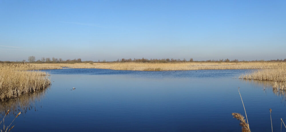 Groote Wielen (winter)