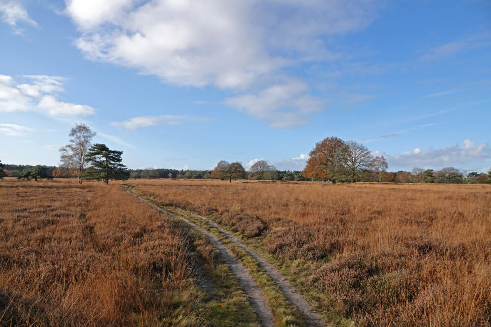 Groote Zand (Hart van Drenthe)