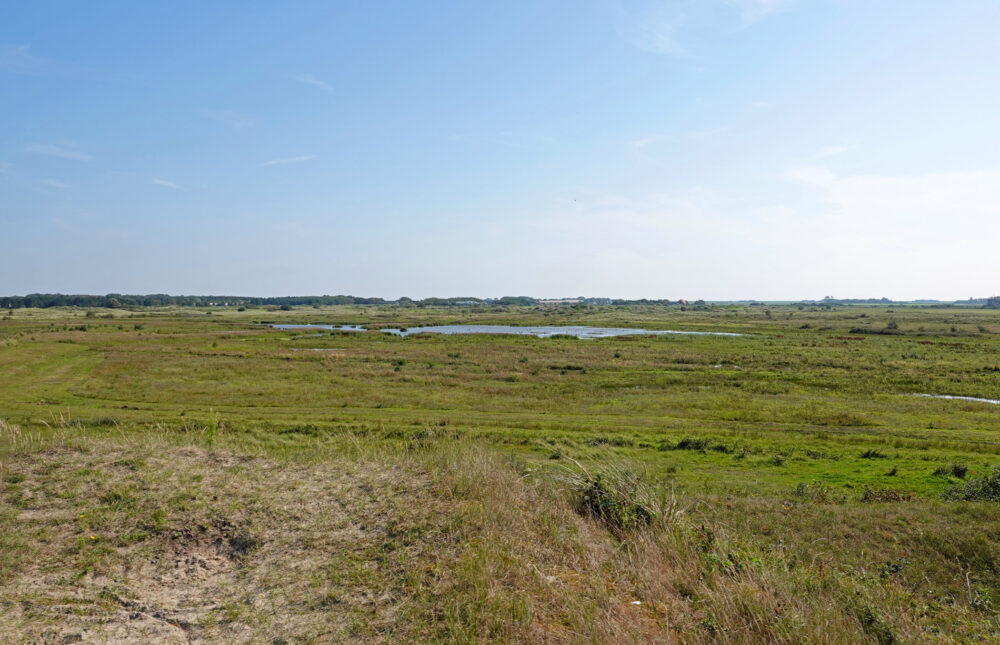 Hanenplas (Texel)