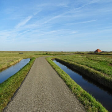 Harger- en Pettemerpolder
